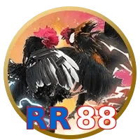 RR88